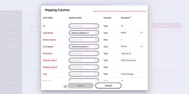 A screenshot of the Mapping Columns and patient demographics.