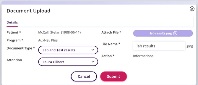 The document upload window where you can fill in the details about the document and browse for the file on your computer.