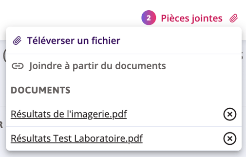 Les documents sélectionnés sont répertoriés sous le bouton Pièces jointes. 