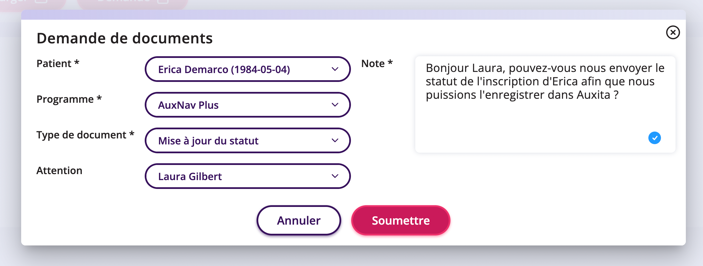 Capture d'écran qui vous amène à un écran permettant de remplir et soumettre la demande la demande de documents