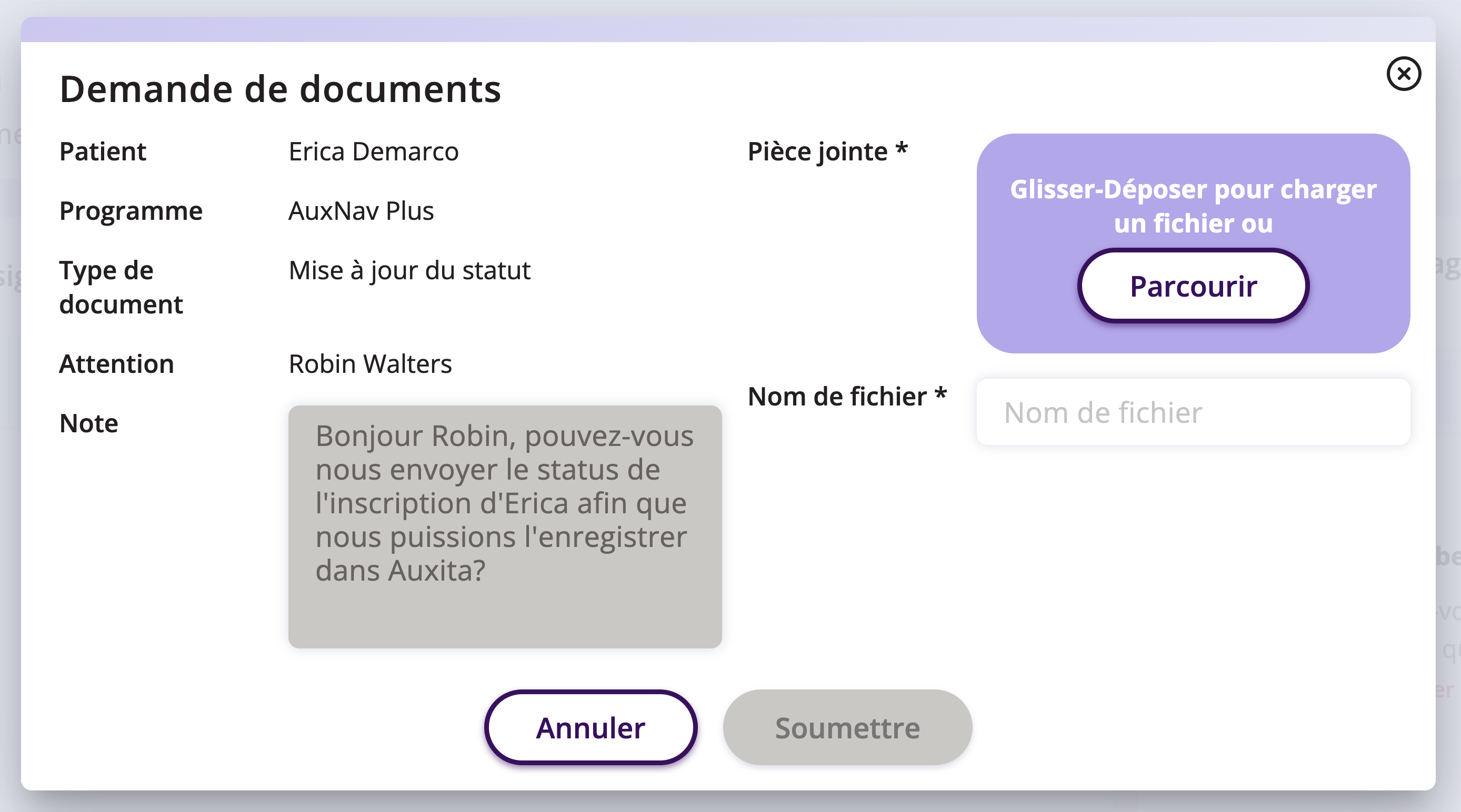 Fenêtre de demande de documents qui s'affiche automatiquement et indique le patient, le programme, le type de document, l'attention à porter, les notes et l'endroit où joindre les fichiers/documents.